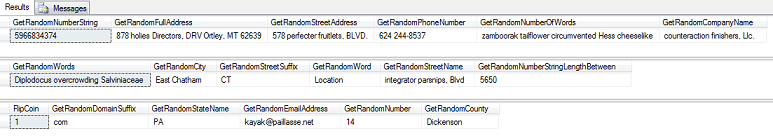 Data Randomizer Results